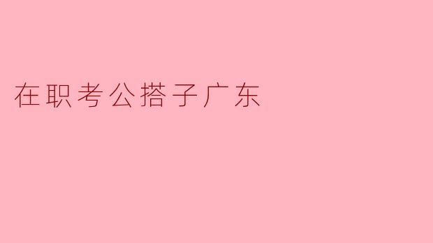 在职考公搭子广东
