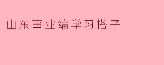 山东事业编学习搭子