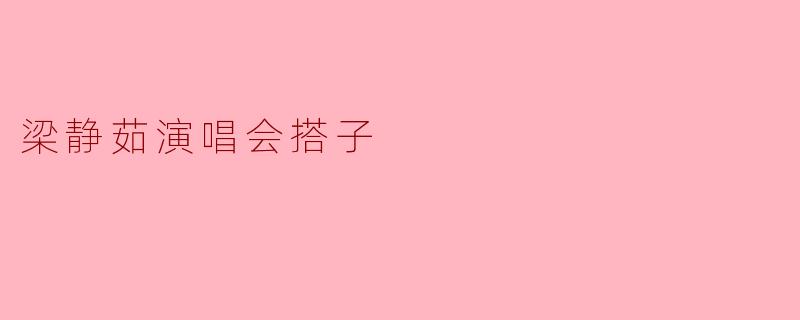 梁静茹演唱会搭子