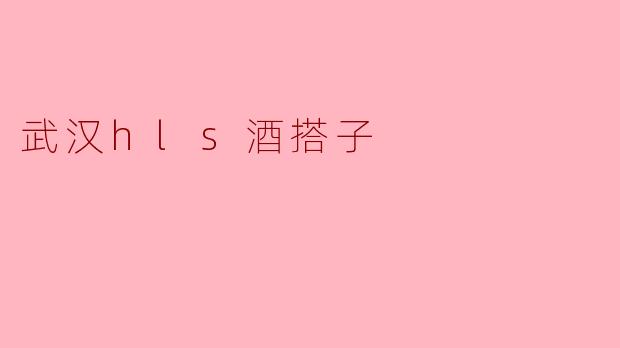 武汉hls酒搭子