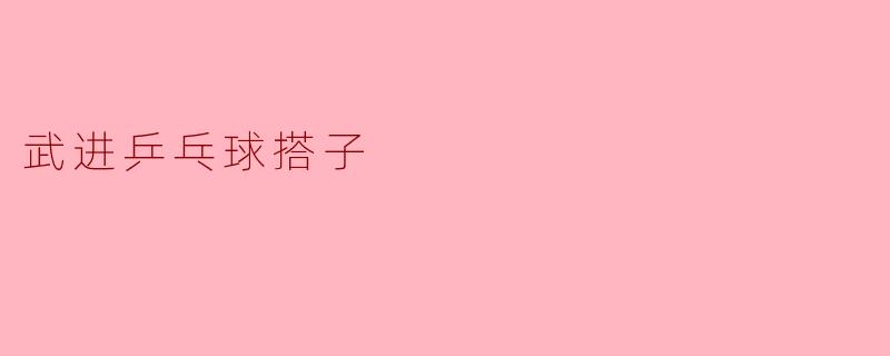 武进乒乓球搭子