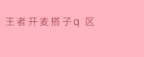 王者开麦搭子q区