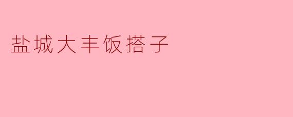 盐城大丰饭搭子