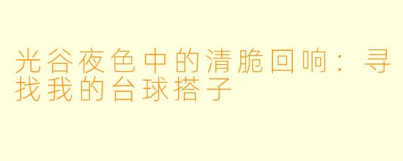 光谷夜色中的清脆回响：寻找我的台球搭子