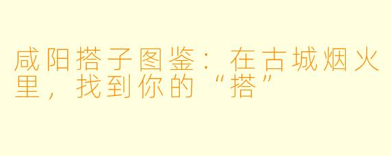 咸阳搭子图鉴：在古城烟火里，找到你的“搭”