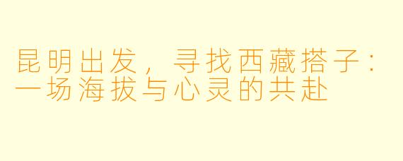 昆明出发，寻找西藏搭子：一场海拔与心灵的共赴