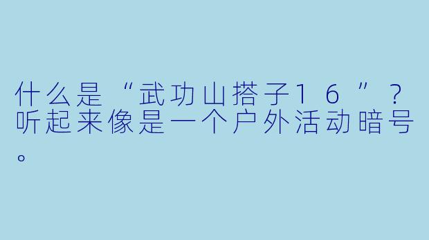 什么是“武功山搭子16”？听起来像是一个户外活动暗号。