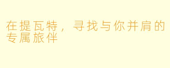 在提瓦特，寻找与你并肩的专属旅伴