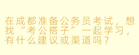 在成都准备公务员考试,想找“考公搭子”一起学习,有什么建议或渠道吗?