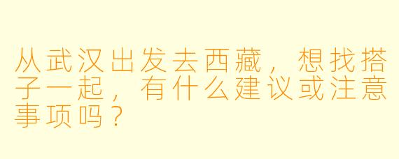 从武汉出发去西藏，想找搭子一起，有什么建议或注意事项吗？
