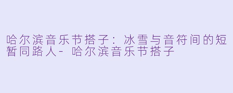 哈尔滨音乐节搭子：冰雪与音符间的短暂同路人-哈尔滨音乐节搭子