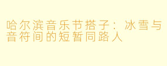 哈尔滨音乐节搭子：冰雪与音符间的短暂同路人