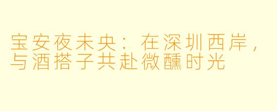 宝安夜未央：在深圳西岸，与酒搭子共赴微醺时光