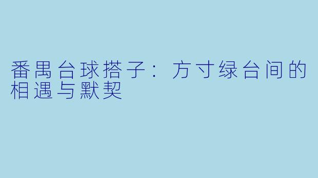 番禺台球搭子：方寸绿台间的相遇与默契