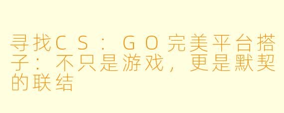 寻找CS:GO完美平台搭子:不只是游戏,更是默契的联结
