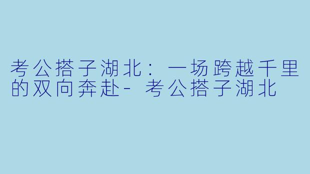 考公搭子湖北：一场跨越千里的双向奔赴-考公搭子湖北