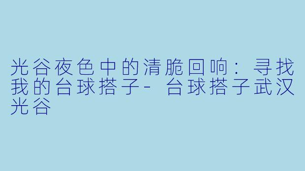 光谷夜色中的清脆回响：寻找我的台球搭子-台球搭子武汉光谷