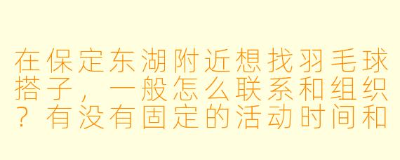 在保定东湖附近想找羽毛球搭子，一般怎么联系和组织？有没有固定的活动时间和地点推荐？