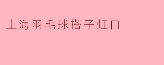上海羽毛球搭子虹口