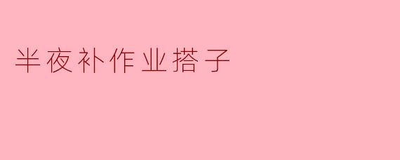 半夜补作业搭子