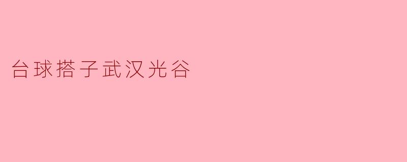 台球搭子武汉光谷