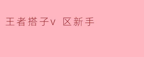 王者搭子v区新手
