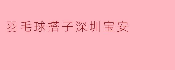 羽毛球搭子深圳宝安