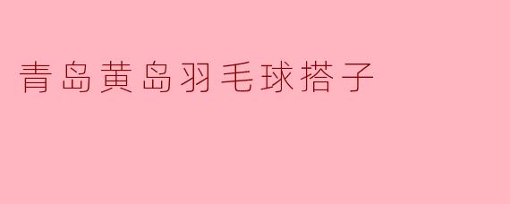 青岛黄岛羽毛球搭子